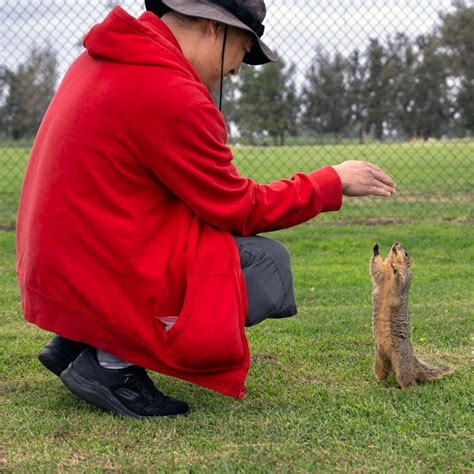 Mile Square Park: Everything from a golf course to archery to swan ...