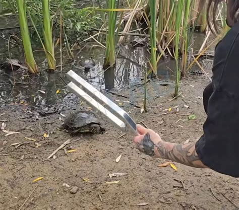285 Hz Solfeggio Sound Swords