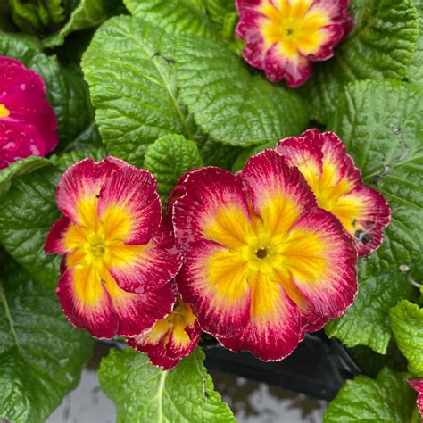 Farmers' Union Marketplace | Eugene OR