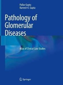 Pathology of Glomerular Diseases: Buy Pathology of Glomerular Diseases ...