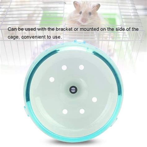 Buy Felenny Hamster Wheel Toy Silent Runner Spinner Exercise Running ...