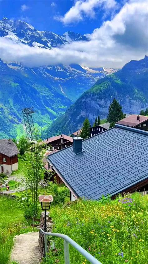 Beautiful Environment 的图像结果