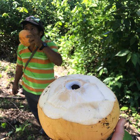 Toledo Ecotourism Association Tours (Punta Gorda) - 2022 What to Know ...