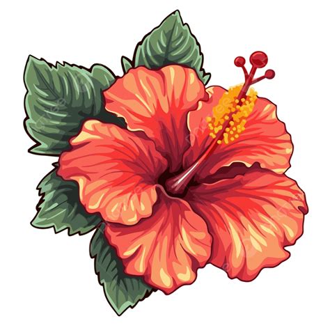 Hibiscus Flower Pictures Clip Art | Best Flower Site
