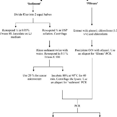 CSF Flow Chart 的图像结果