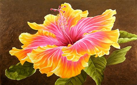 10 Excellent hawaiian flower desktop wallpaper You Can Get It free ...