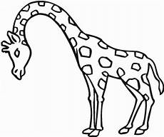 malvorlagen giraffe um giraffe ausmalbilder zum ausdrucken bilder zum ausmalen malvorlagen giraffe um giraffe ausmalbilder zum ausdrucken bilder zum ausmalen