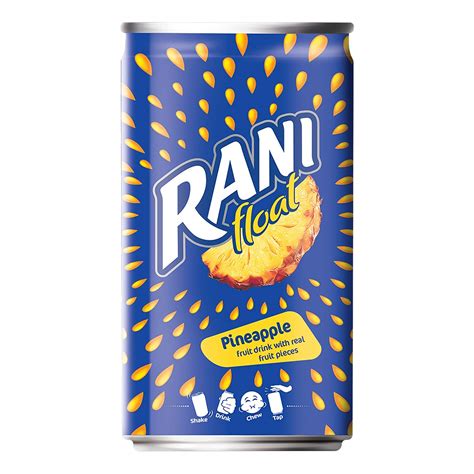 Rani Float - Pineapple - Can - Pack of 6 X 180 Ml, Vegetarian : Amazon ...