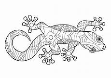 malvorlagen gratis gecko gecko malvorlage malvorlagen gratis gecko gecko malvorlage