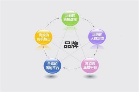 品牌推广-上海薇鞠网络科技有限公司