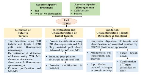 A Comprehensive Review on Source, Types, Effects, Nanotechnology ...