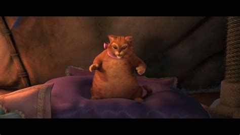 Cats Tees 的图像结果