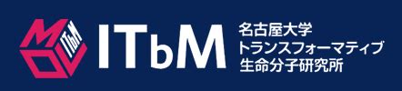 Itbm Reports 的图像结果
