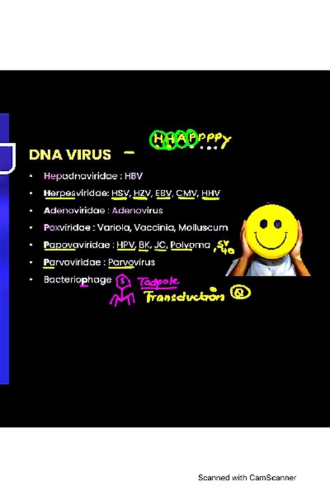 DNA and RNA viruses - DNA VIRUS Hepadnaviridae : HBV Herpesviridae: HSV ...