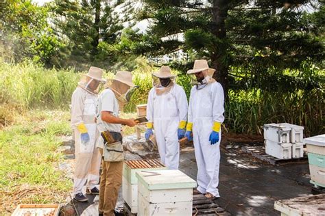 Wahiawa Photos - Featured Images of Wahiawa, Oahu - Tripadvisor