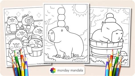 20 Capybara Coloring Pages (Free PDF Printables)