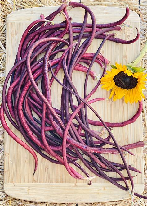 15 minute spicy thai purple podded yard long beans recipe – Artofit