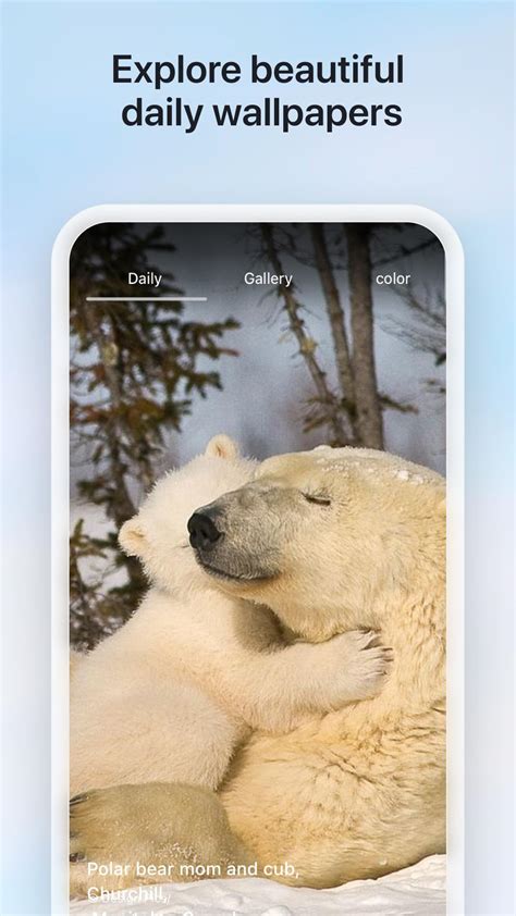 تطبيق Bing 的图像结果