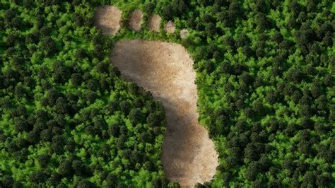 Sustainability | Schaeffler India