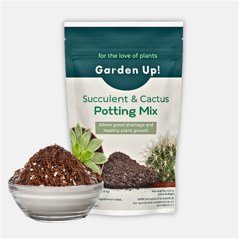 Succulent & Cactus Potting Mix – Garden Up