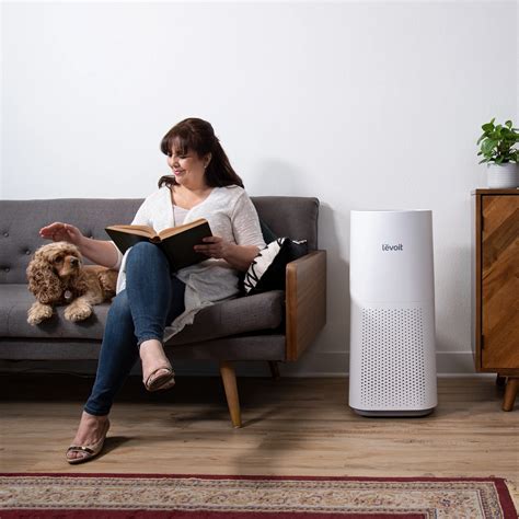 Best Home Air Purifier Hepa at Claire Grissom blog