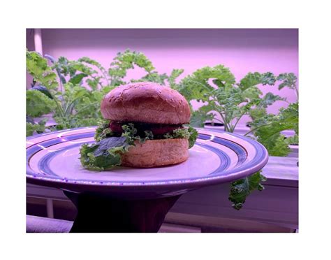 Discover Zuca Fresh Products, Reviews & Information | LBB