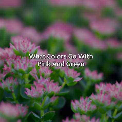 What Colors Go With Pink And Green - colorscombo.com