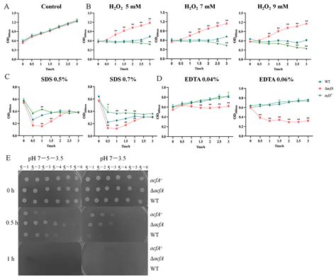 AcfA Regulates the Virulence and Cell Envelope Stress Response of ...