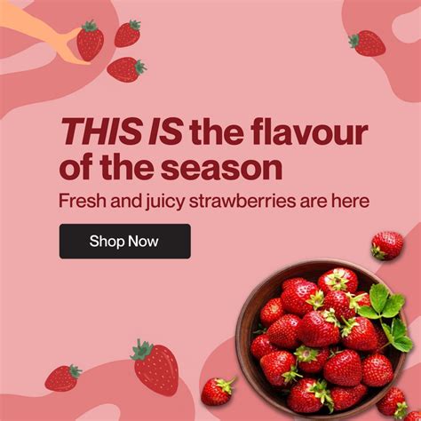 Zama Organics: Buy Organic Food Products Online | Mumbai