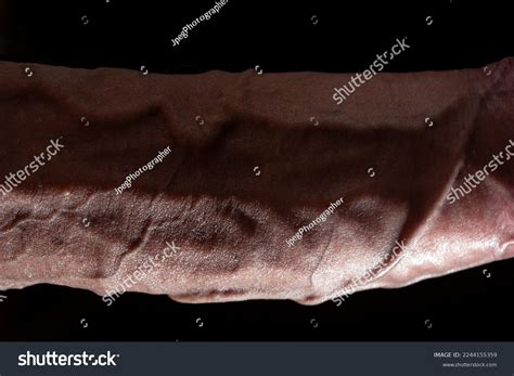 Detailed Texture Skin Penis Skin Close Stock Photo 2244155359 | Shutterstock