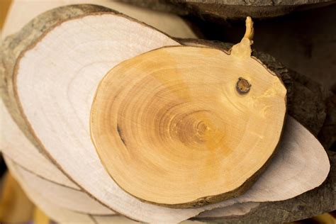 Image result for Cut Log