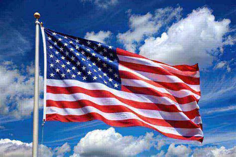 Amrerica National Flag 的图像结果