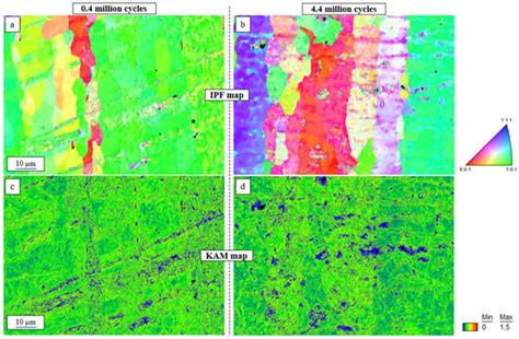 Effect of Processing-Induced Oxides on the Fatigue Life Variability of ...