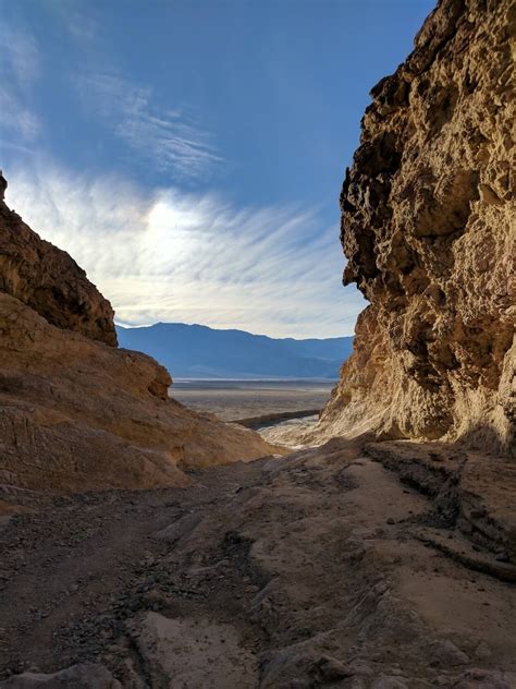 Death Valley National Park - wildlife in death valley national park