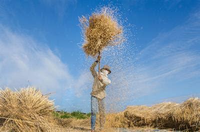 Methods of separation-I — lesson. Science CBSE, Class 6.