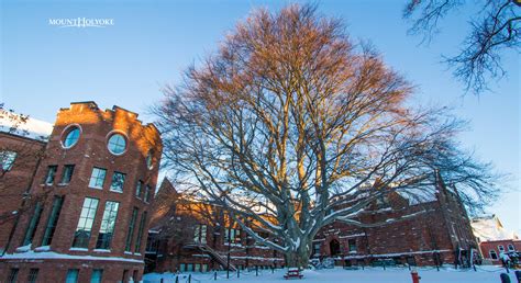 2021 Calendar | Mount Holyoke College
