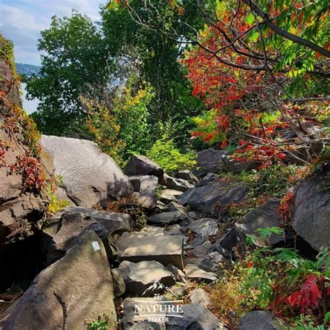 How to Hike The Giant Stairs Palisades Trail in NJ