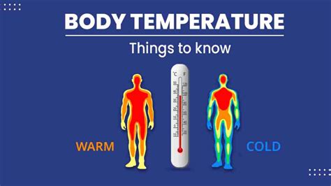 Image result for Normal Temp Range Human