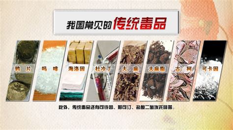 我国常见的传统毒品- 四川省广元市实验中学—www.gysyzx.org【官网】欢迎您