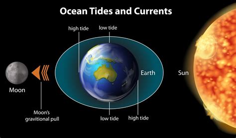 How Do Moons Affect The Tide? - Farmers' Almanac - Plan Your Day. Grow ...