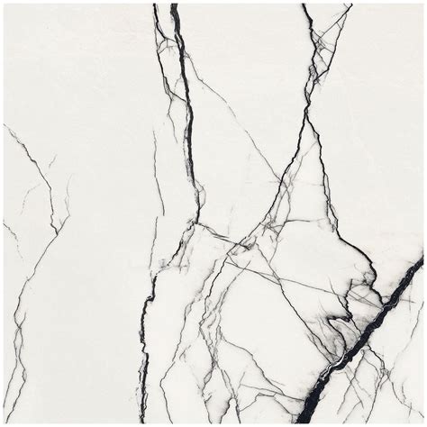 Drama breach 24×24 matte porcelain tile black white backsplash wall and ...