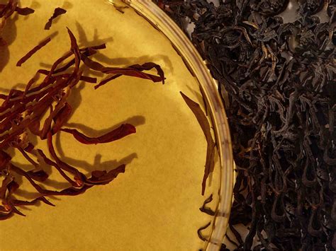 Buy KAINE Kombu Balancing Ampoule Toner Online at Best Price | Clinikally