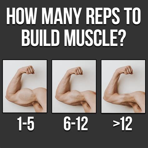 How To Build Muscle With 100 Rep Sets – TMBI