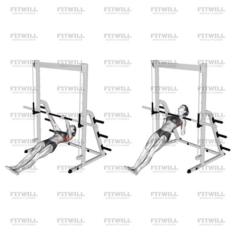 Image result for Inverted Row Exercise Muscles Worked