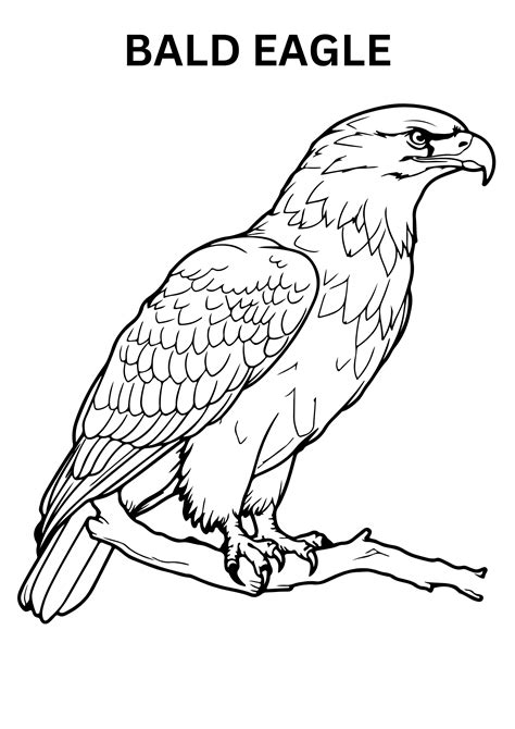 Bald Eagle Coloring Pages Online – Kidsversuscopy.com