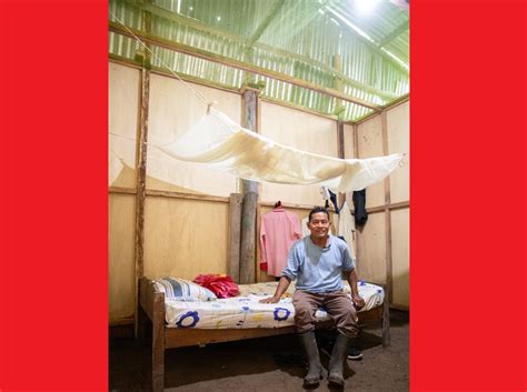 Aplican innovadora estrategia para reducir la malaria y el dengue en la ...