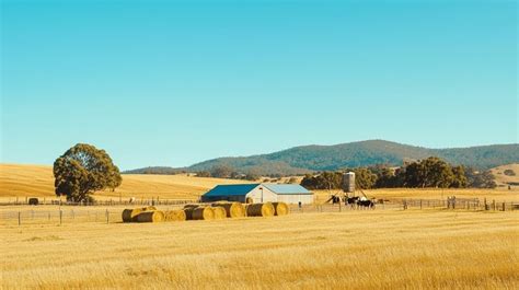 Farm 的图像结果