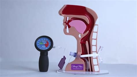 Endotracheal Tube - ETT Cuff Pressure Gauge Trader - Wholesaler ...