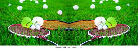 Chinese ShuttleCock 的图像结果