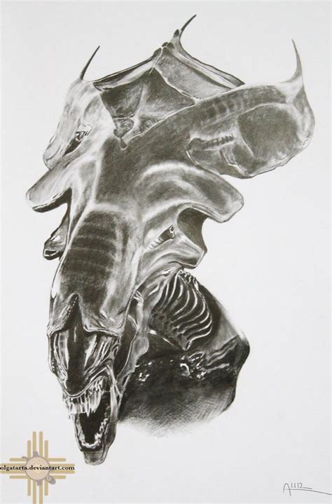 Alien Queen Cartoon 的图像结果